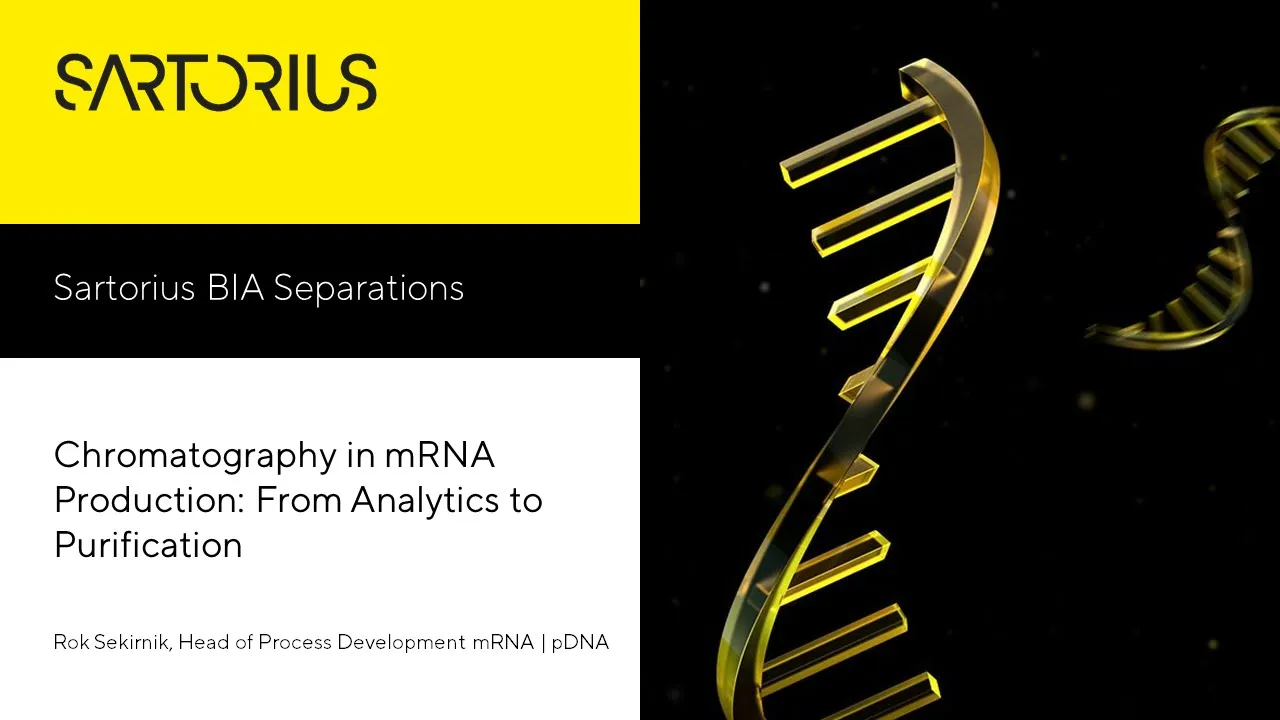 Chromatography in mRNA Production From Analytics to Purification