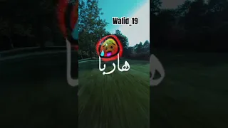عندها لطاي هاربا طويلة وشابة Walid 19 