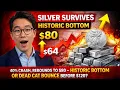 Lagu Silver Survives 40% Crash, Rebounds to $80 – Historic Bottom or Dead Cat Bounce Before $120?