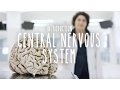 Neuroanatomy S1 E1 Intro to the Central Nervous System