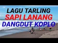 Download Lagu LAGU TARLING SAPI LANANG DANGDUT KOPLO
