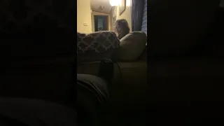 Sitting On The Couch Making Weird Noises Random Video 