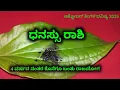 Download Lagu ಅಂಜನ ಧನಸ್ಸು ರಾಶಿ ಅಕ್ಟೋಬರ್  ತಿಂಗಳ ಭವಿಷ್ಯ 2025 / Dhansu Rashi actober tingala bhavishya 2025