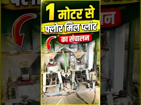 सिर्फ 1 मोटर से चलाओ 400kg/hr तक के Commercial Flour Mill Plant जो आधा खर्च पर आधी बिजली भी बचाएगी