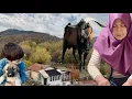 ANNE VE OĞLU / DAĞ EVİNDE KAHVALTI / KOYUNLARA DAĞDA GECE ÖRÜM VERME / DAĞLARDA YAŞAYANLAR 