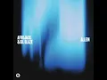 Afrojack, Gil Glaze - Allein (Extended Mix)