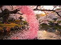 Japanese Garden 3 Hours Cherry Blossoms Koi Fish Relaxing Nature Sounds 4K