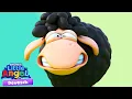 Lagu Mäh mäh schwarzes Schaf 🐑 Tierlieder \u0026 Kinderlieder mit Klein Joni | Little Angel Deutsch