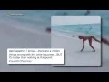 Danica Patrick did do yoga in a bikini