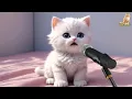 Download Lagu KUCING NYANYI KUPUNYA SATU MIMPI KUTANAMKAN DIHATI 😸💖💖💖