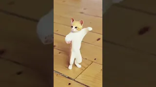 بيو بيو احمد محسن 