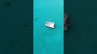 Flamingo Cays: Lost in the blue, found in the ocean.🩵  #shorts