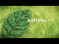 Download Lagu LA Menthol Natural1st - 100% Menthol Alam