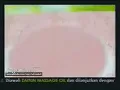Iklan Zaitun Body Care