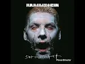 Rammstein - Du hast 