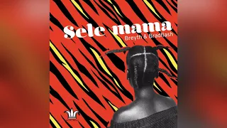 breyth u0026 bradflash sele mama original mix 
