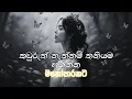 Lagu තනියම අහන්න මනෝපාරකට | Sinhala Sindu | Best New Sinhala Songs | Manoparakata Songs | Sinhala Song