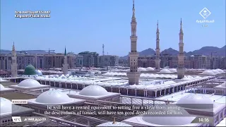                       بث مباشر    قناة السنة النبوية                       دندنها
