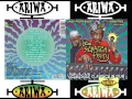 Dr Dub - Mad Professor & Lee "Scratch" Perry