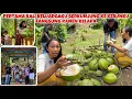 Download Lagu PANEN BUAH PERTAMA KALI DI KEBUN PRIBADIKU DI RAJA AMPAT