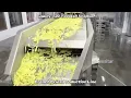 SENSITAR - AMAZING FRENCH FRIES MACHINE TOP LELVEL IN CHINA WHAT'S UP+8615005362267