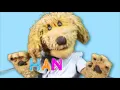 "H-A-N-D-S" - Tim Kubart - CLAPPING SONG FOR KIDS