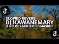 Download Lagu DJ KAWANEMARY X MELODY MULU PULO MASHUP CAMPURAN SLOWED REVERB KANE TERBARU 2025