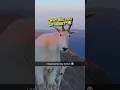 Download Lagu The most polite mountain goat EVER ❤️ #shorts