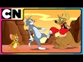 Download Lagu Tom and Jerry 😺🐭| Tom \u0026 Jerry Takes Over Australia😆| Cartoon Videos 😆| Cat and the Mouse | @cnindia