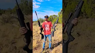 177 VS 22 POWER TEST Gamo Magnum Pro 