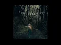 Movements - Daylily