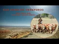 Watch the Van Newkirk Herefords Bull Sale 250 Hereford Bulls Commercial Females