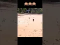 Download Lagu #dog  #dogmoment  #underdog