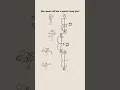 Timing charts for multiple keyposes