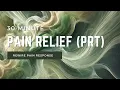 30-Min Pain Reprocessing Therapy Rewire Your Brain Relieve Chronic Pain