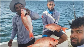 Fishing On The Venom With Captain Imran ! Trinidad. 🇹🇹