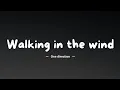Download Lagu One direction – Walking in the wind   (lyrics)