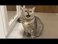 You scared me