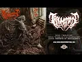 Download Lagu Traumatomy - Womb Of The Desecrated (Official Track)