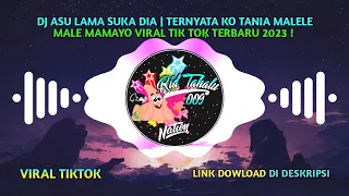 dj asu lama suka dia ternyata ko tania malele male mamayo viral tik tok terbaru 2023 