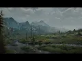 The Witcher 3 • The Fields of Ard Skellig | Music & Nature Ambience