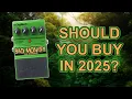 2023 s MOST HYPED Pedal Digitech Bad Monkey
