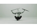 Download Lagu Randy Valentine - Wake The Town (OFFICIAL VIDEO) (HEMP HIGHER / ARIWA MUSIC 2015)