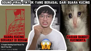 viral lagu tiktok ini di rekam dari suara kucing yang meninggoy parah 