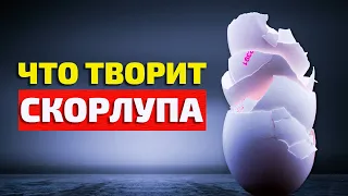 Натуральный Кальций - Яичная Скорлупа. Реальная Польза и Вред | Смотри и Знай