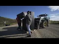 Geohex - Cattle Install