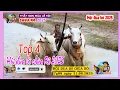 Download Lagu Hội đua bò chùa Rô trước giờ G | Tập 4 Top 4 đôi bò mạnh nhất Hội đua bò chùa Rô 2024  |#LamDuHi