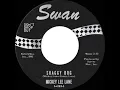 Download Lagu 1964 HITS ARCHIVE: Shaggy Dog - Mickey Lee Lane