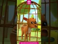 Download Lagu Si Kancil 2024 - Short - Lagu Anak 90an - Lagu Anak Indonesia Populer