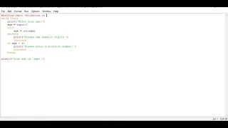 perform input validation in Python